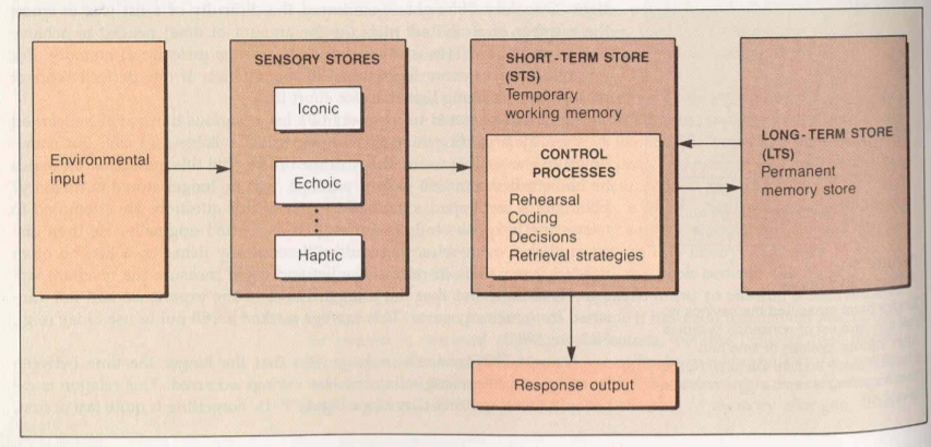 Designing for memory - Design Stories 2